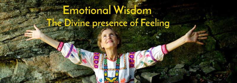 Emotional Wisdom banner