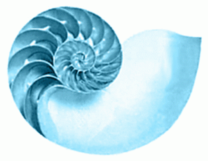 nautilus-bw-blue