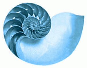nautilus-bw-blue-lowerbrt