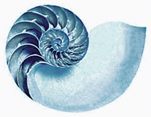 nautilus-color-blue-lowersat