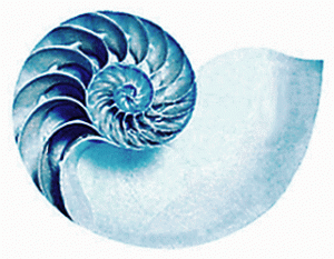 nautilus-color-blue-lowersat-curve
