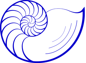nautilus-logo-solo 500HR